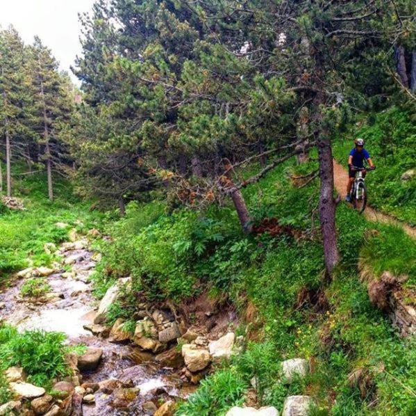 Apartmán La Pradella Bolquere Pyrenees 2000 Exteriér fotografie